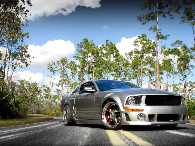 silver mustang on forest road