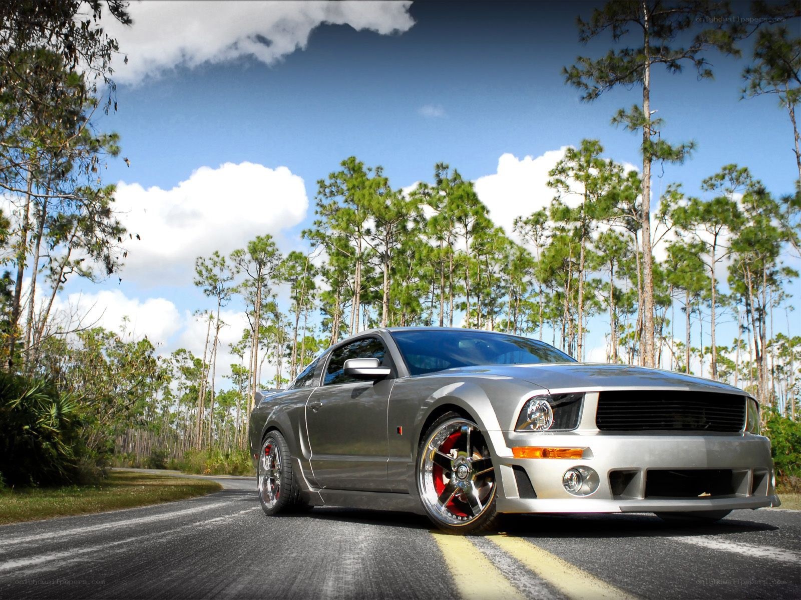 silver mustang on forest road