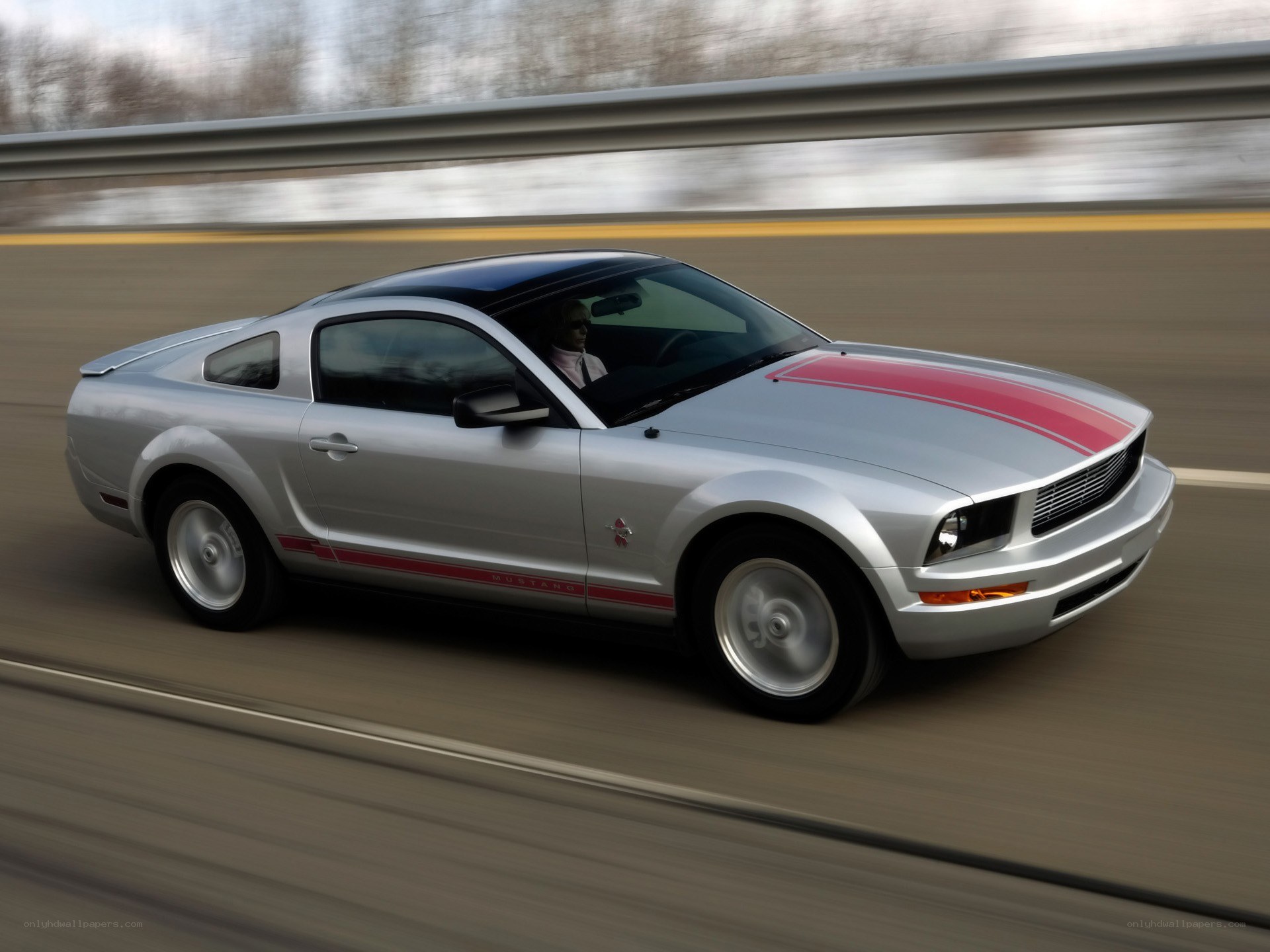 silver mustang on highway