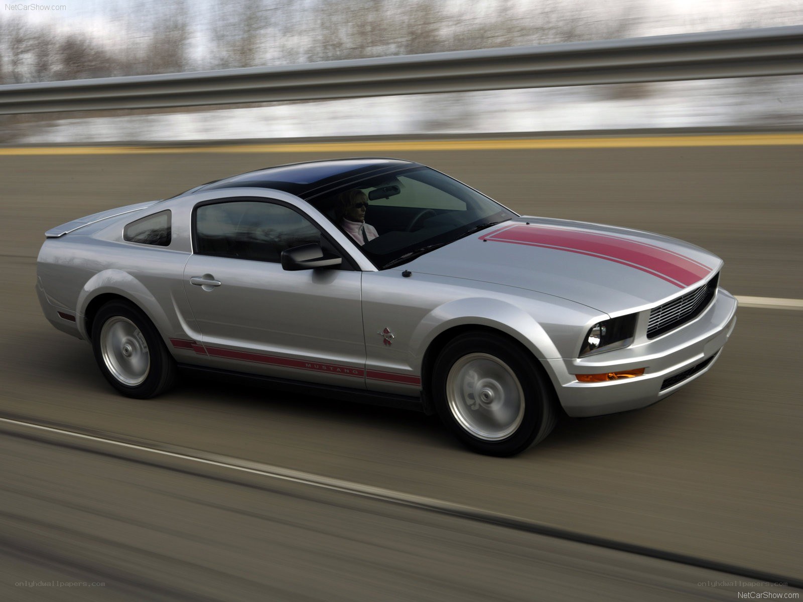 silver mustang on highway