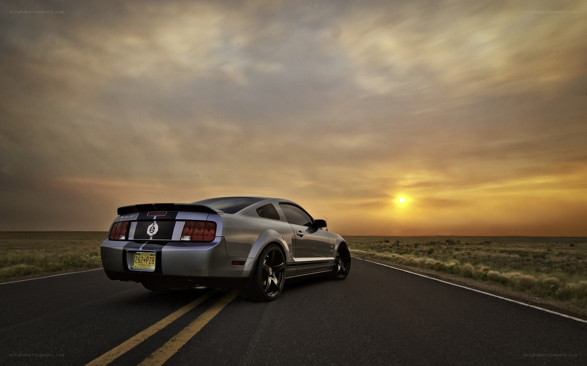 Silver Mustang on open road