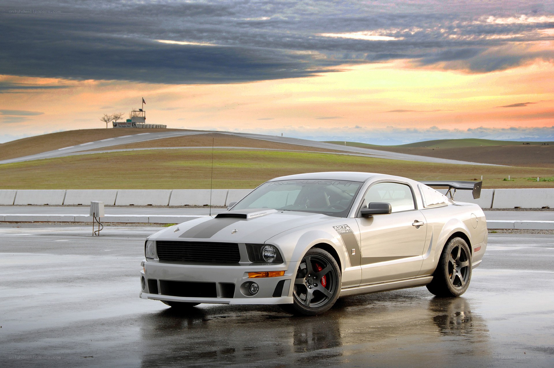 silver mustang on racetrack