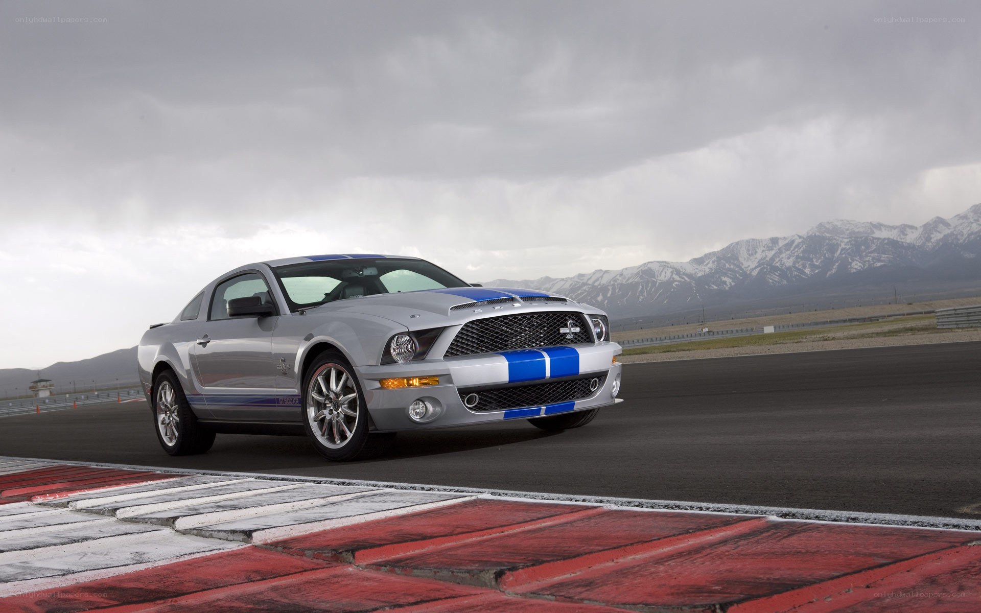 silver mustang on racetrack