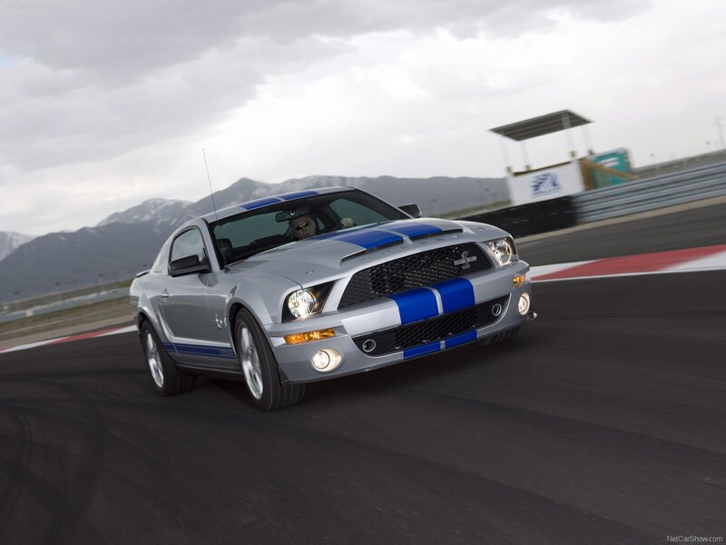 silver mustang on racetrack