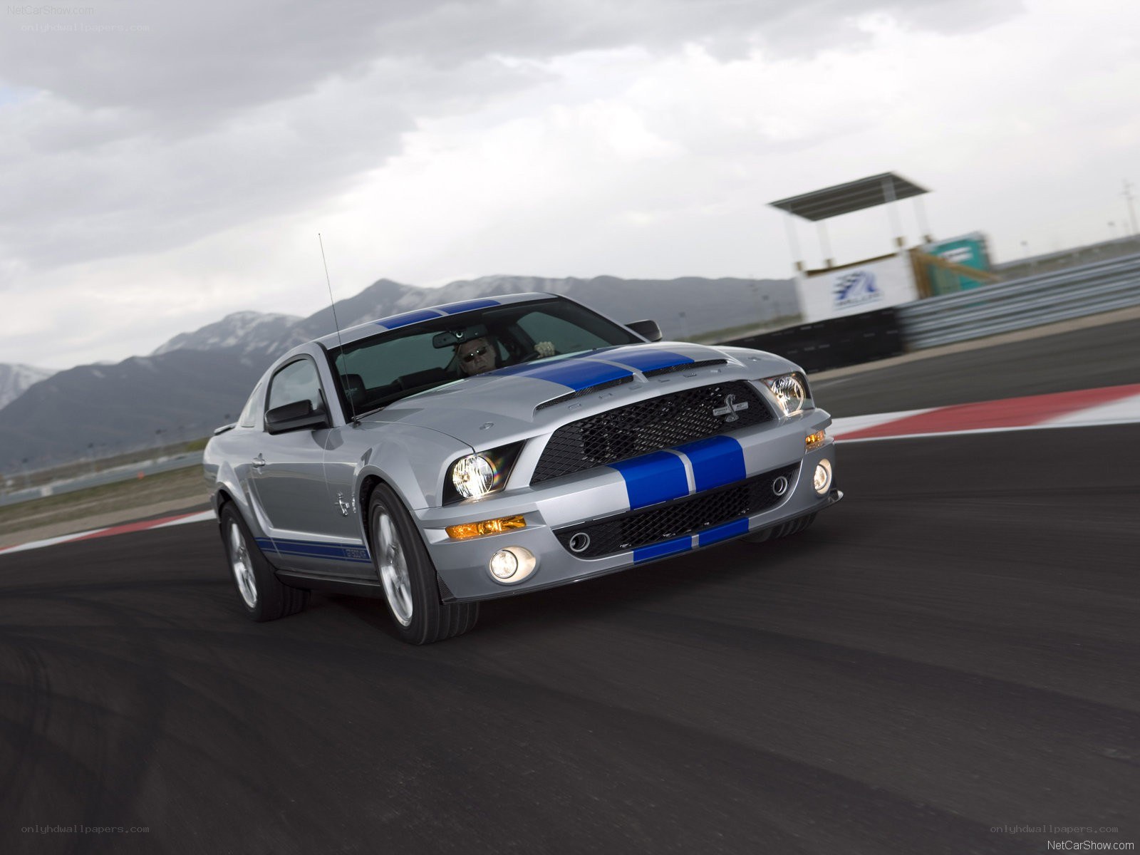 silver mustang on racetrack