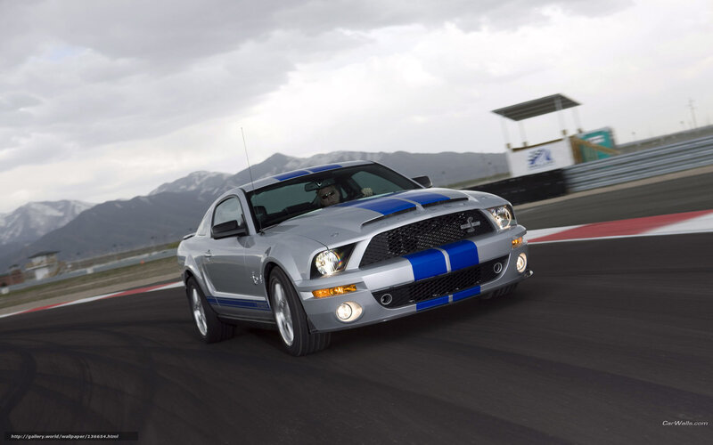 Silver Mustang on racetrack