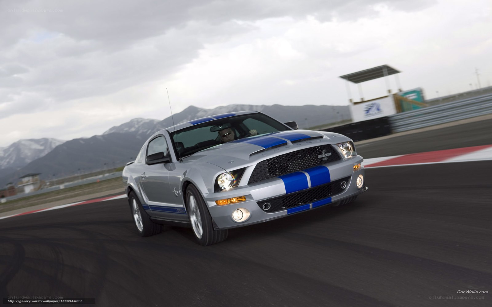 Silver Mustang on racetrack