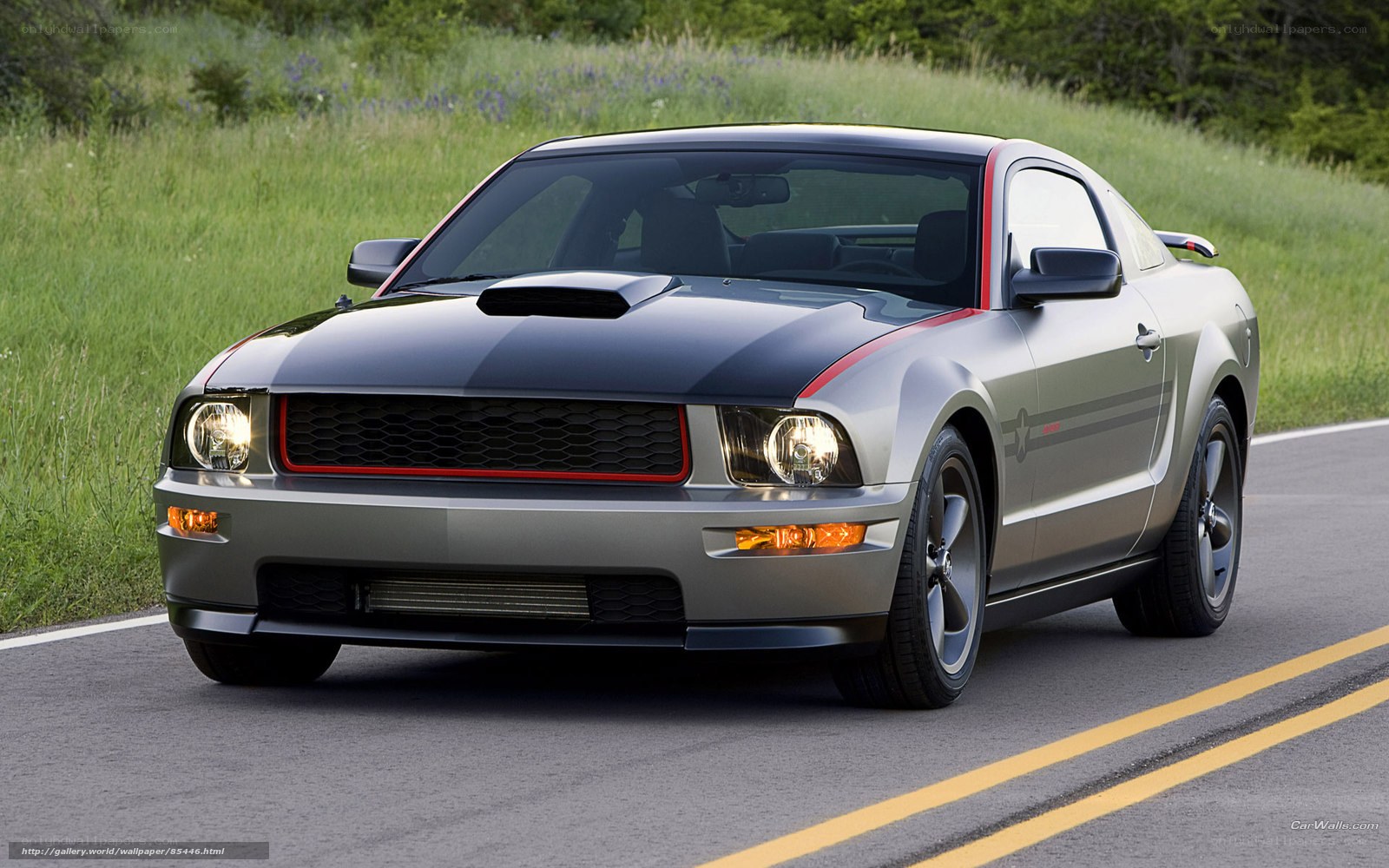 silver mustang on road