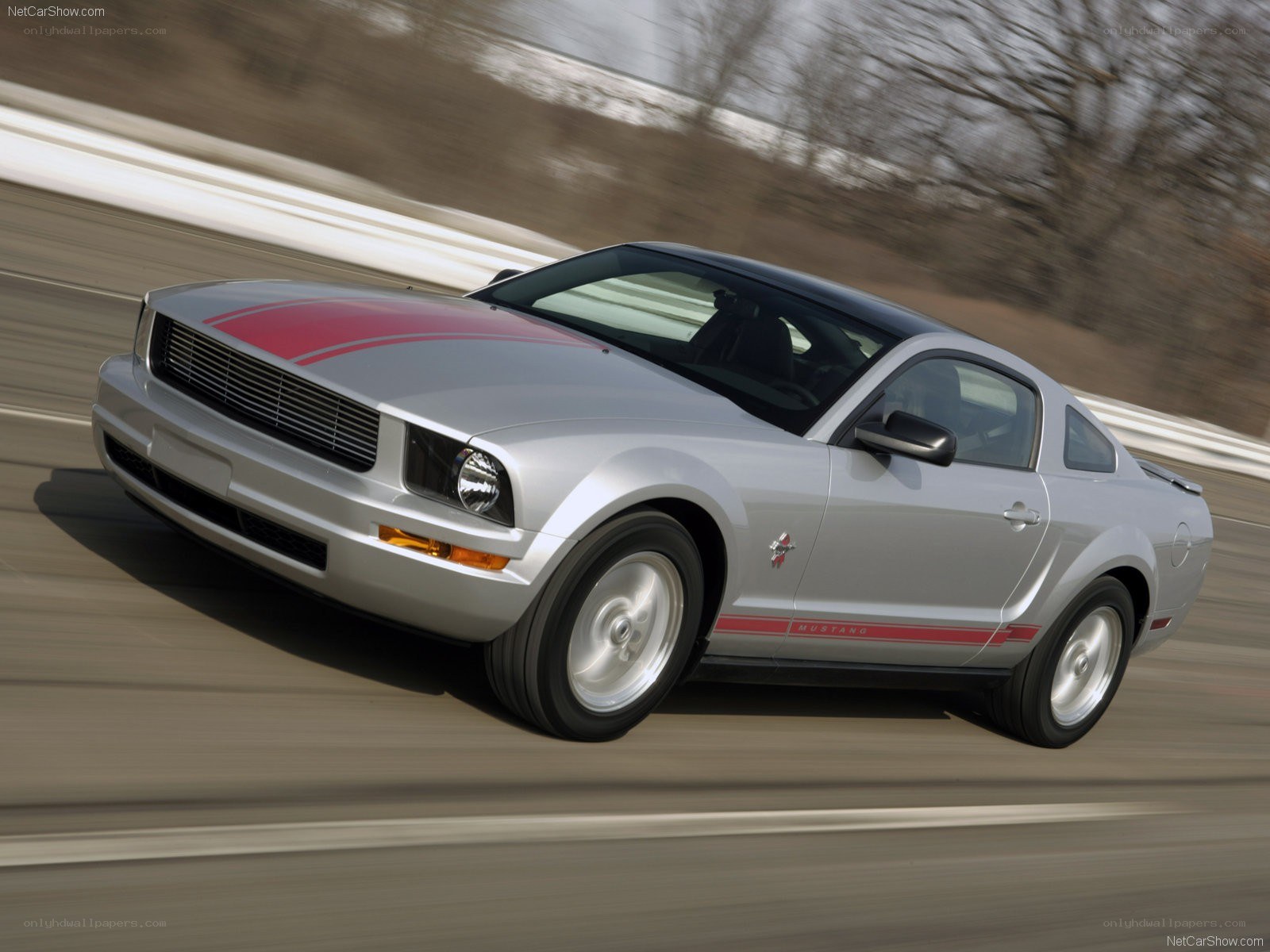 silver mustang on track