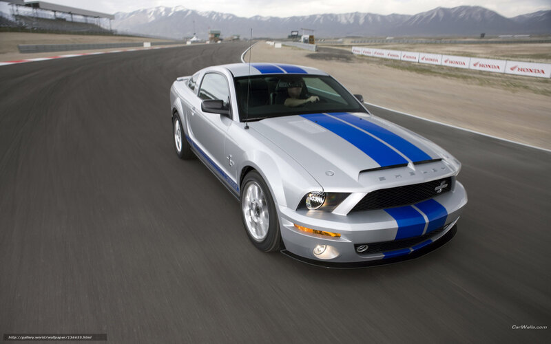 Silver Mustang on Track — Dynamic