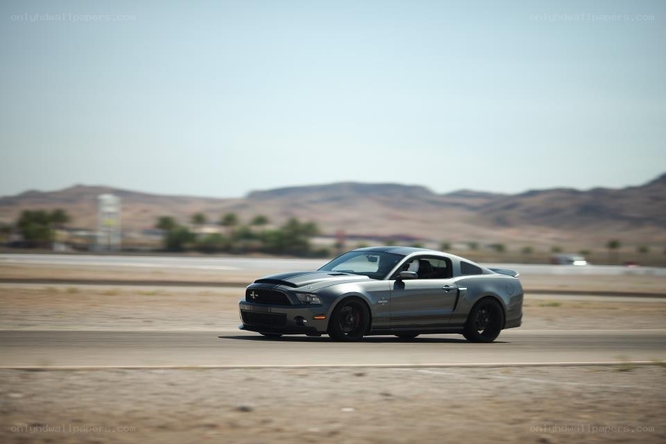 silver mustang on track