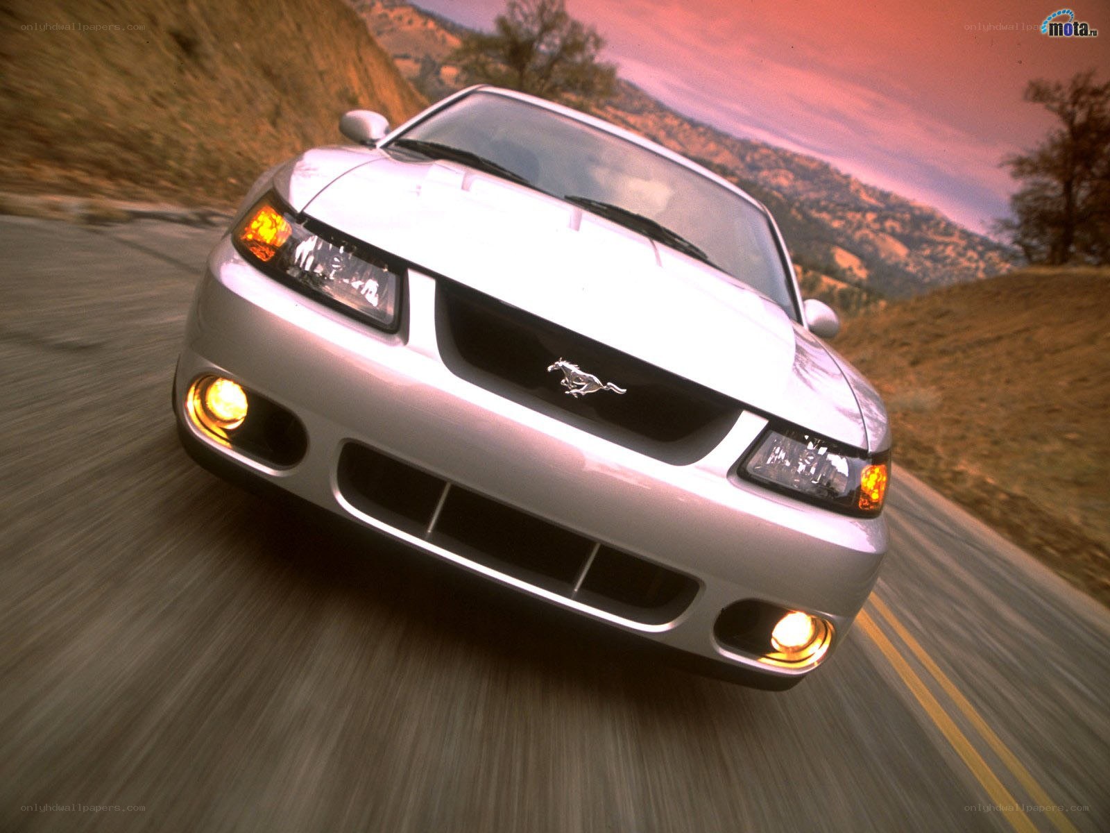 silver mustang on winding road