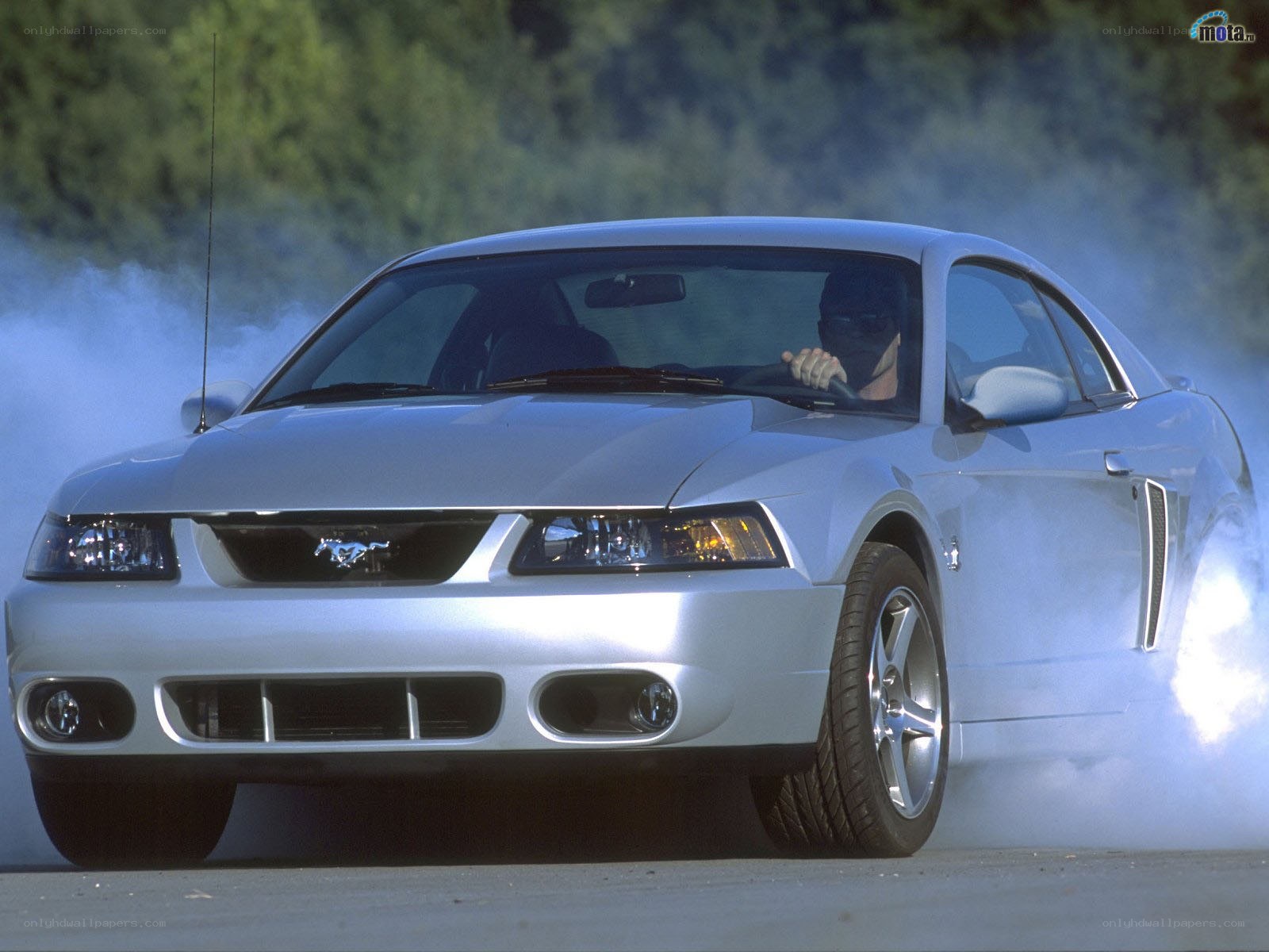 Silver Mustang performing burnout