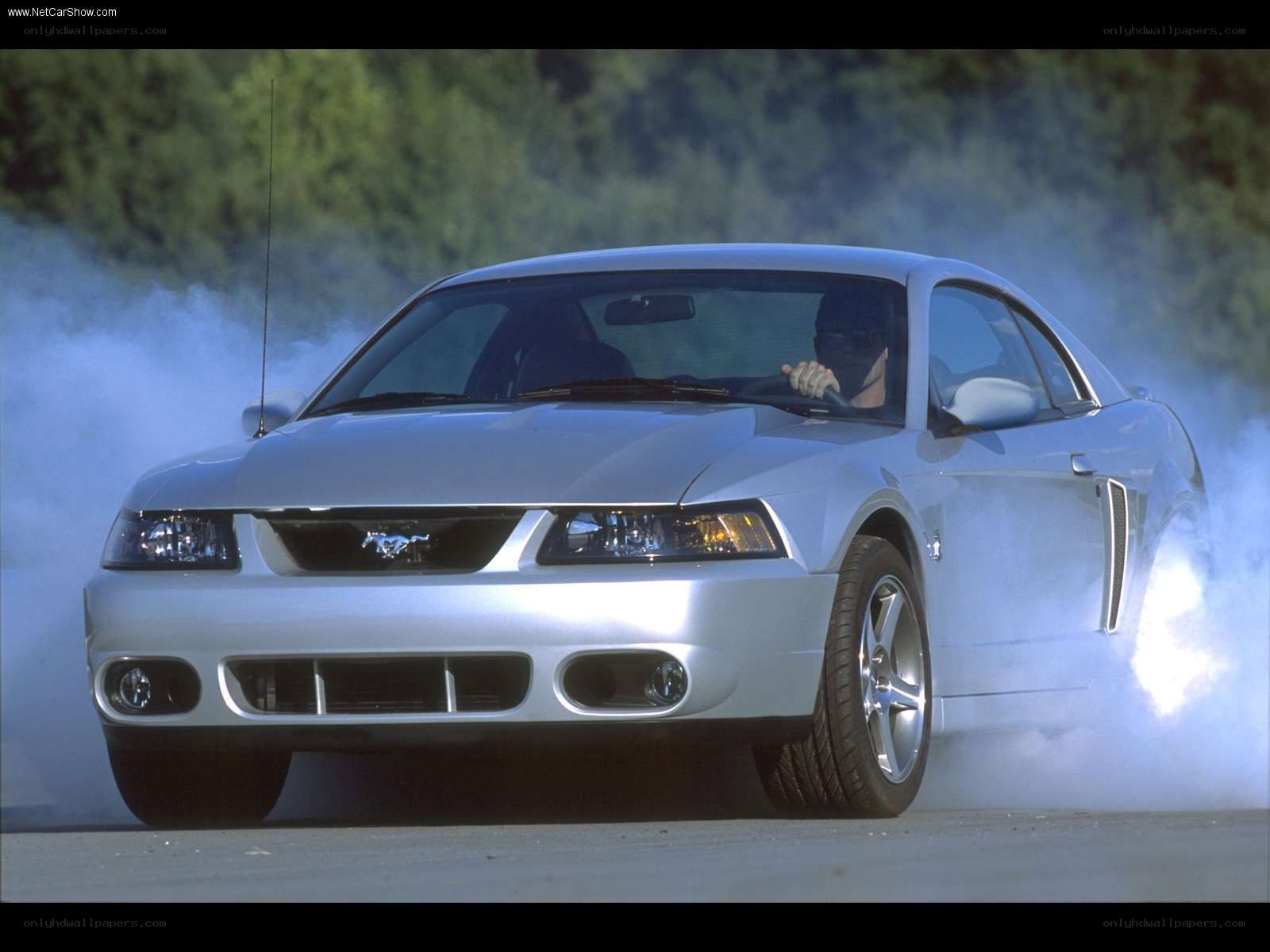 silver mustang performing burnout