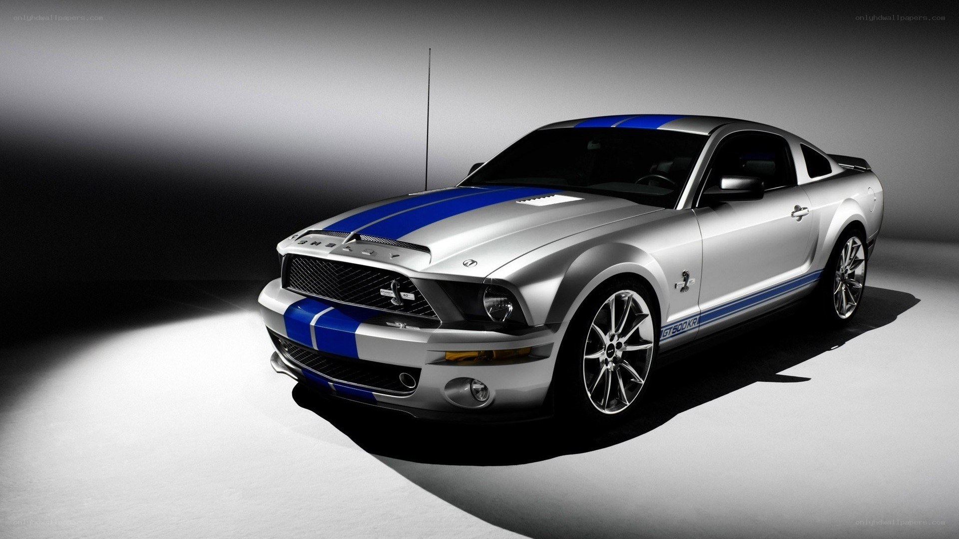 silver mustang with blue stripes