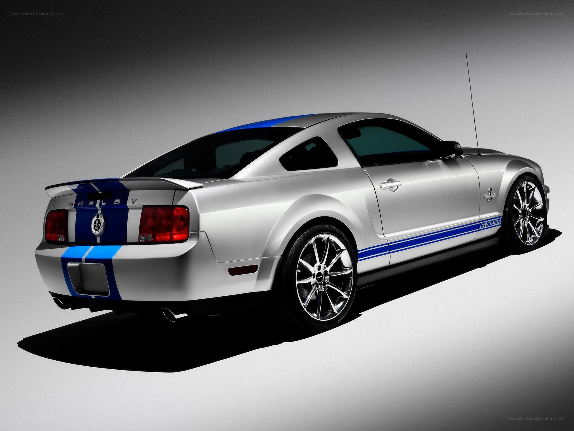 silver mustang with blue stripes