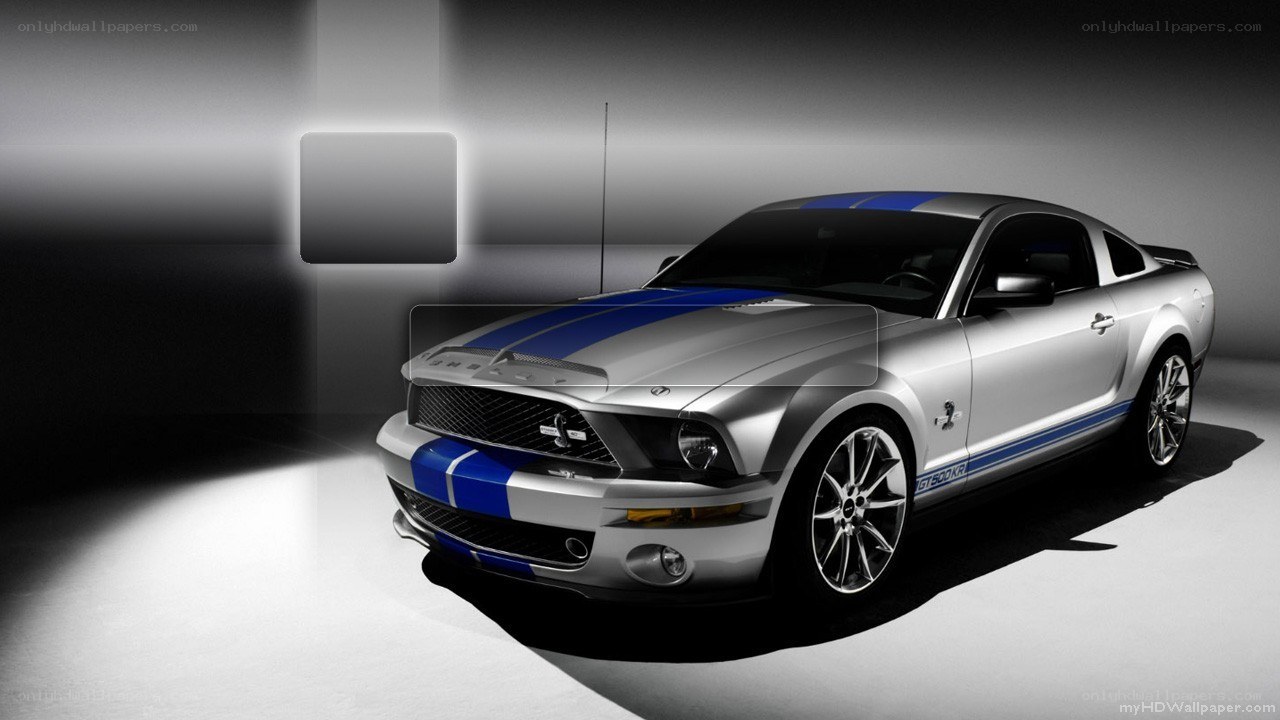 silver mustang with blue stripes