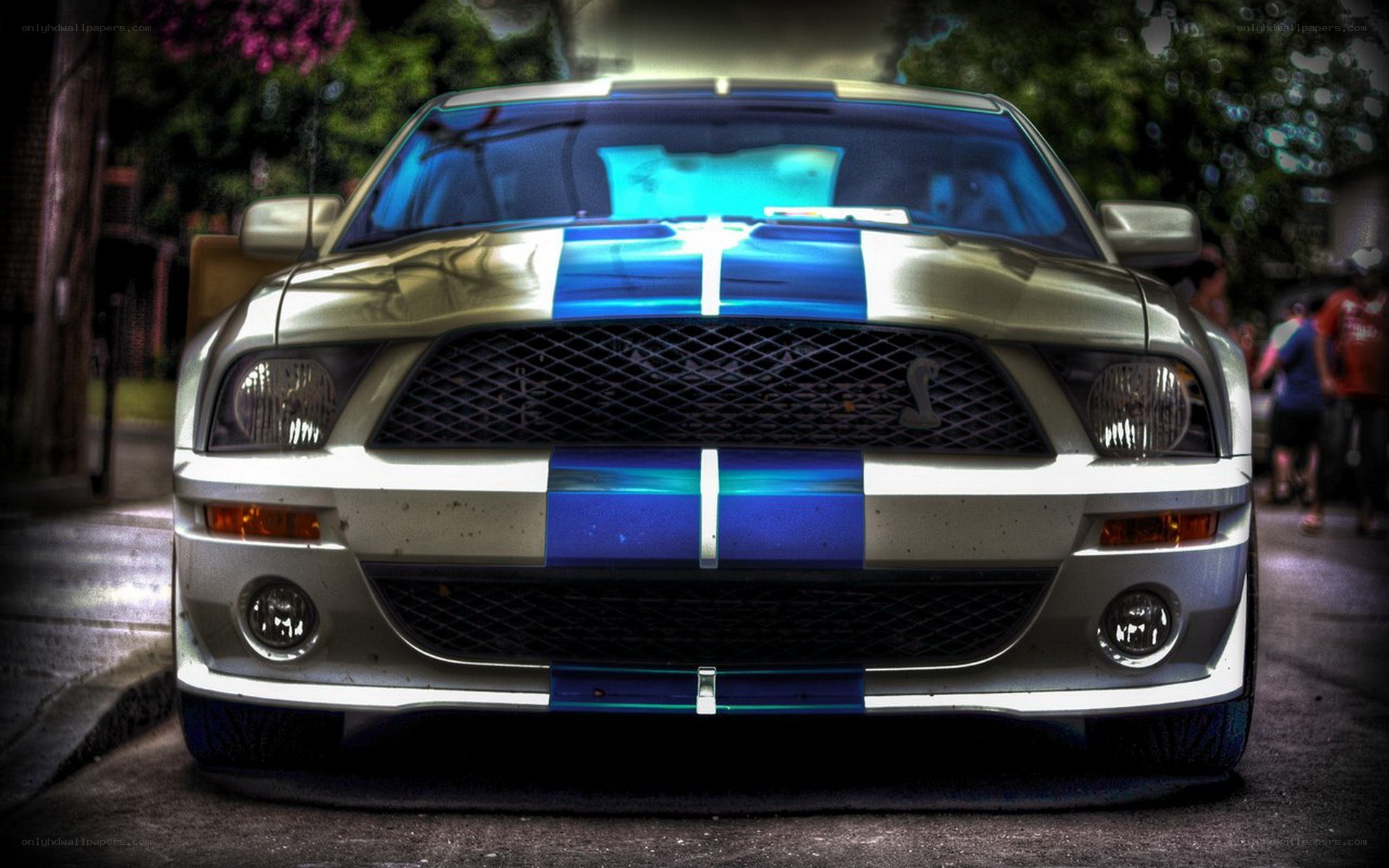 silver mustang with blue stripes
