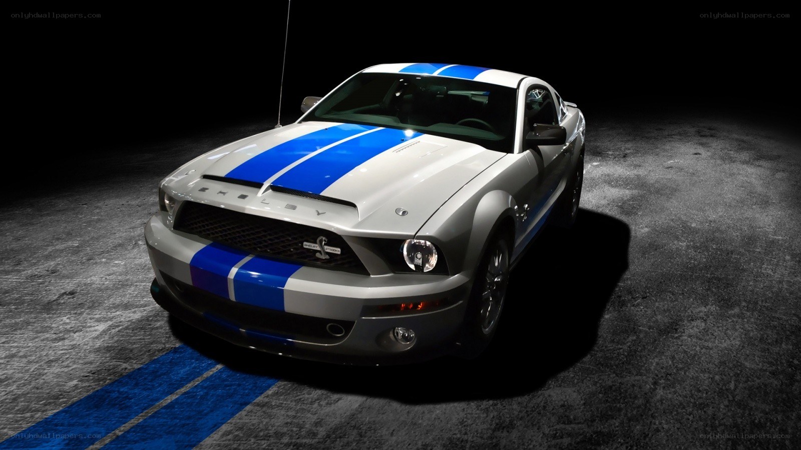 silver mustang with blue stripes