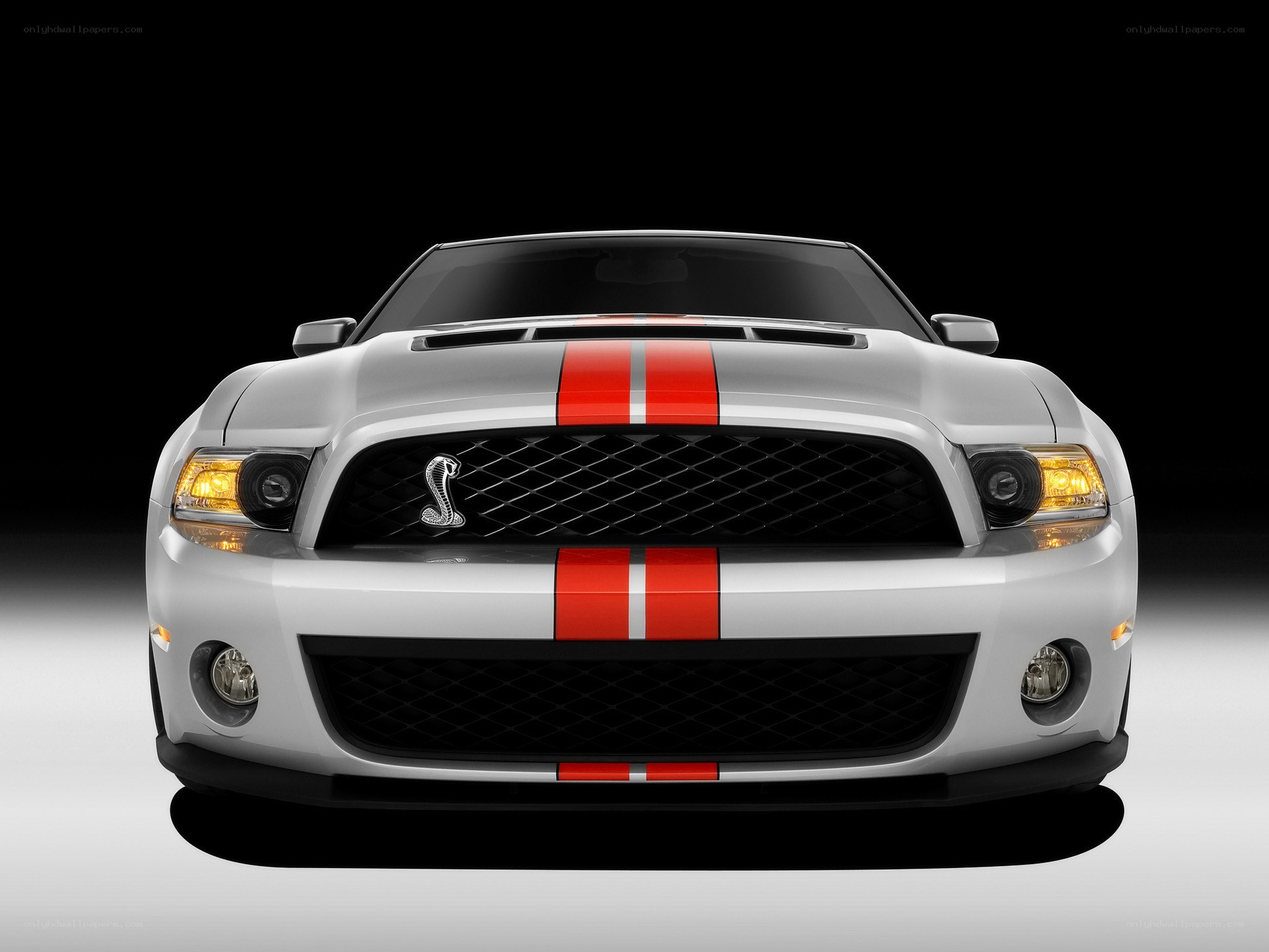 silver mustang with red stripes