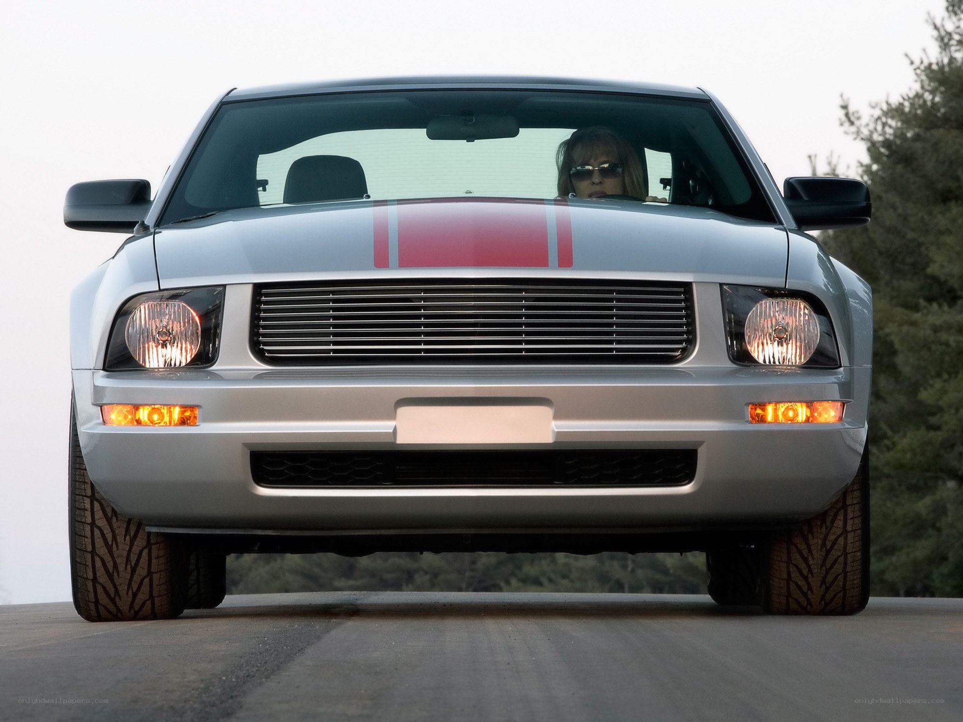 silver mustang with red stripes