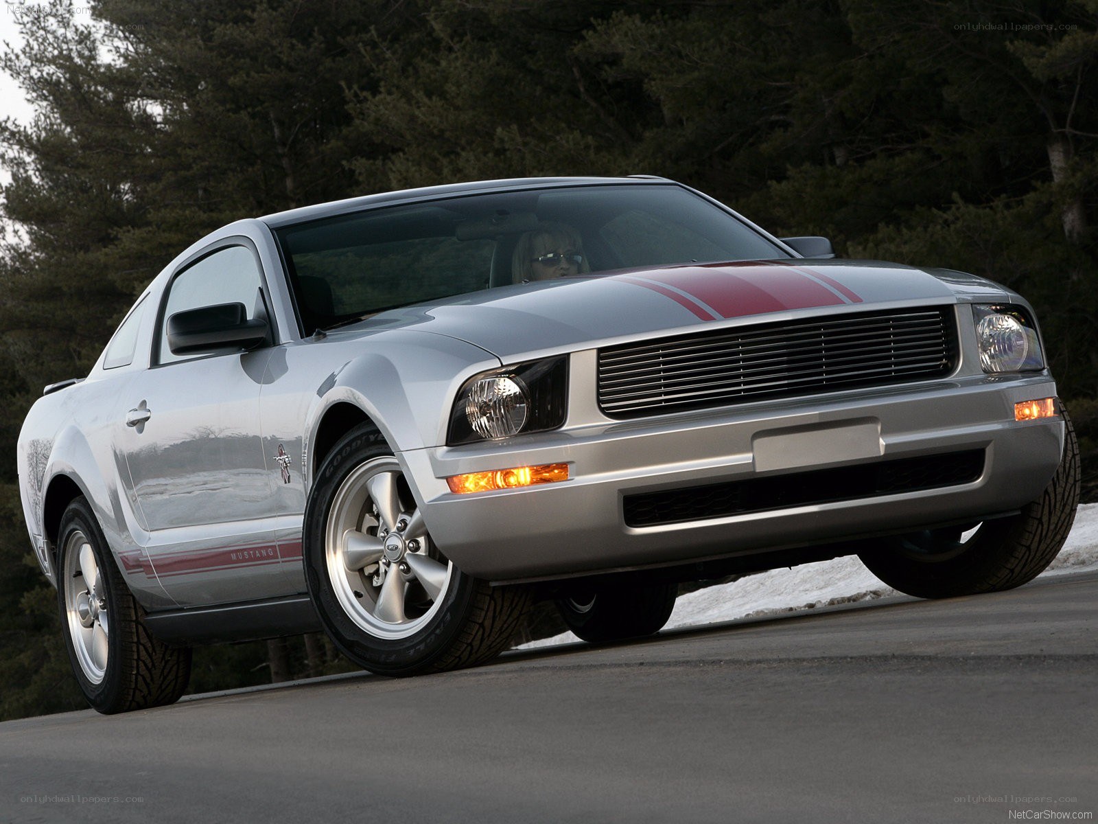 silver mustang with red stripes
