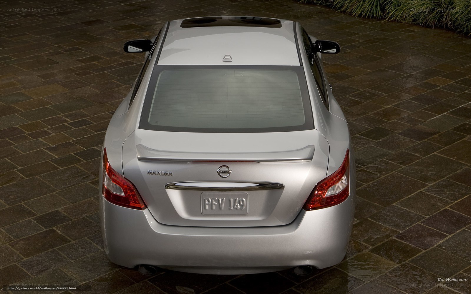 silver nissan maxima rear view
