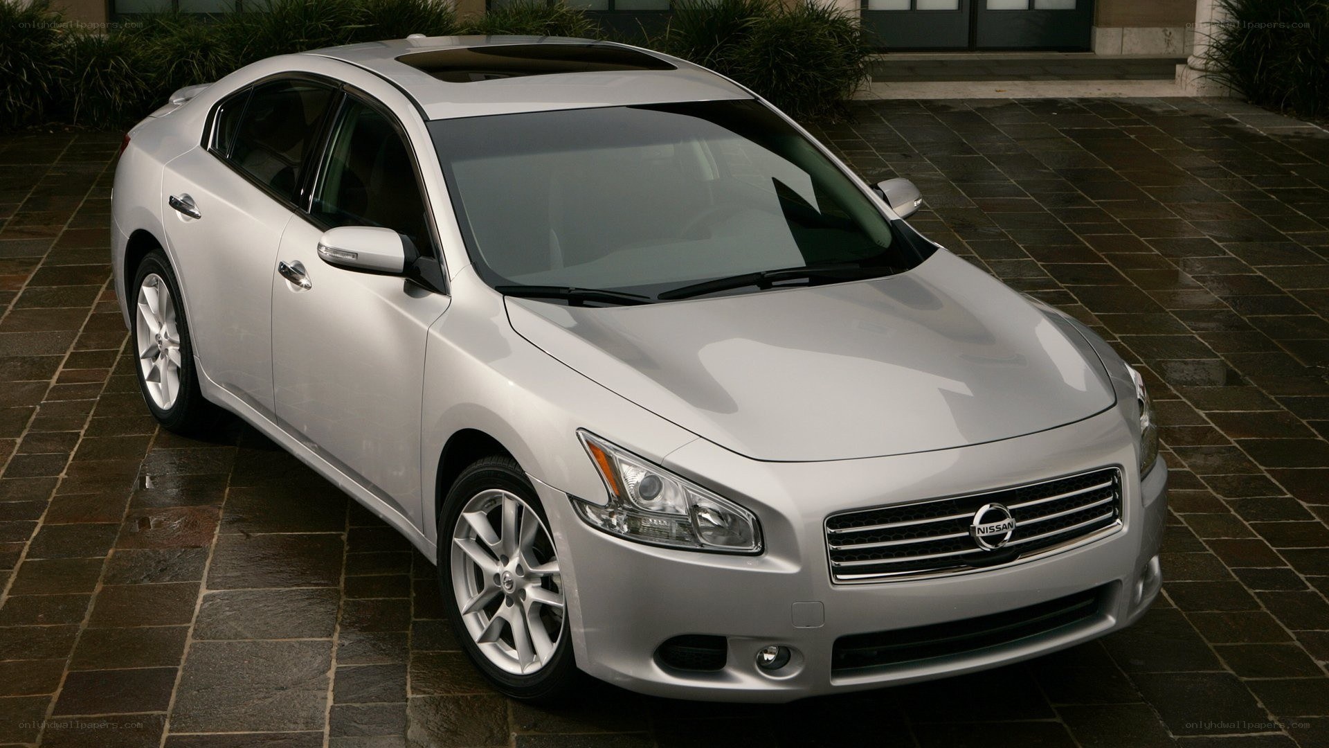 silver nissan maxima sedan