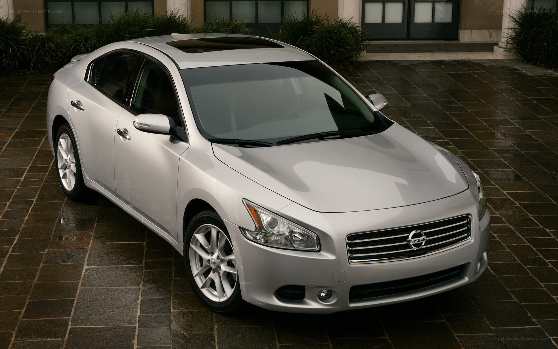 silver nissan maxima sedan