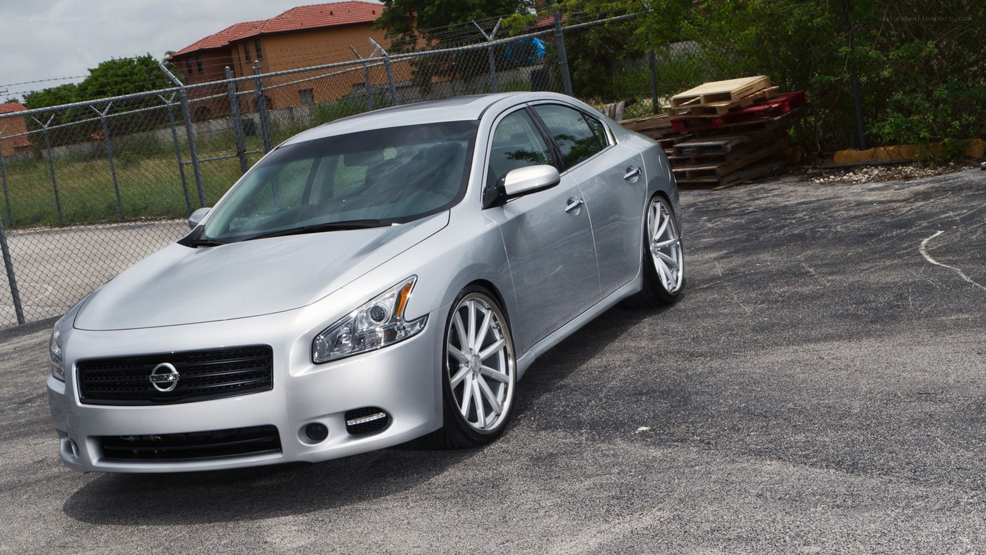 silver nissan maxima sedan