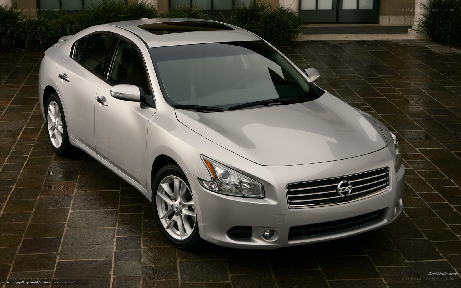 Silver Nissan Maxima sedan