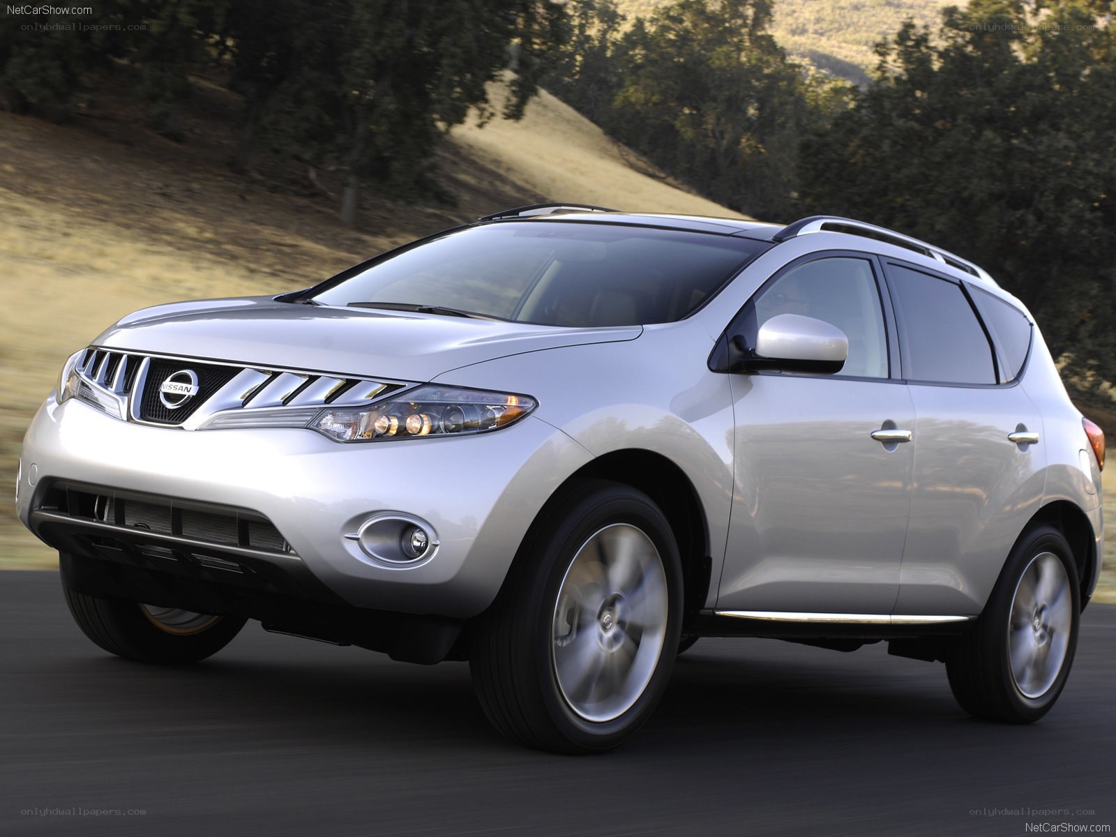 silver nissan murano suv