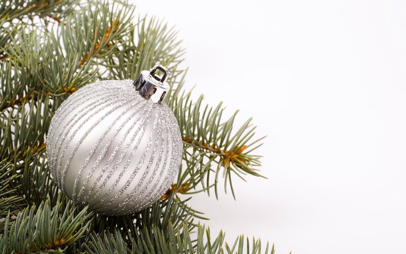 silver ornament on pine branch