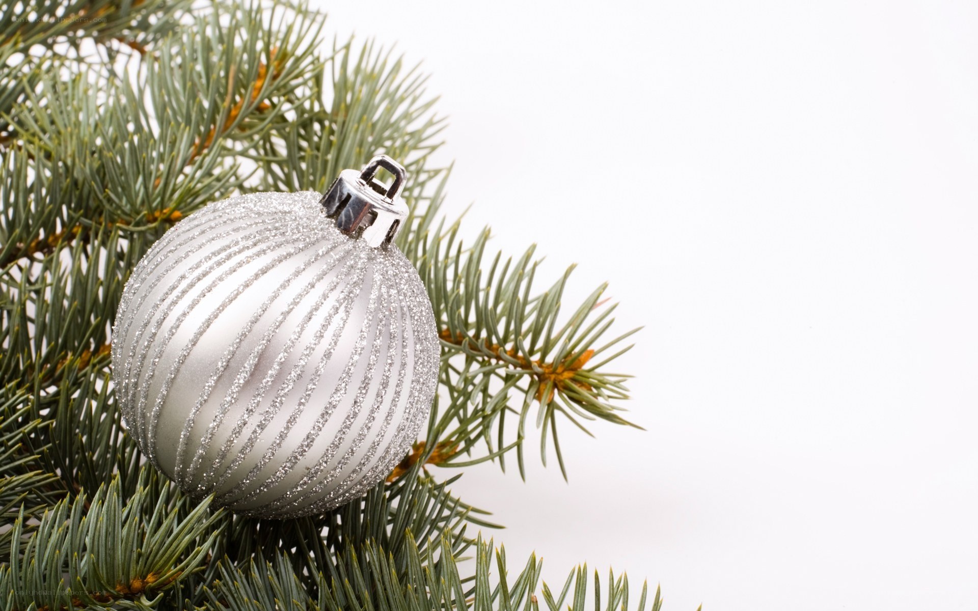 silver ornament on pine branch