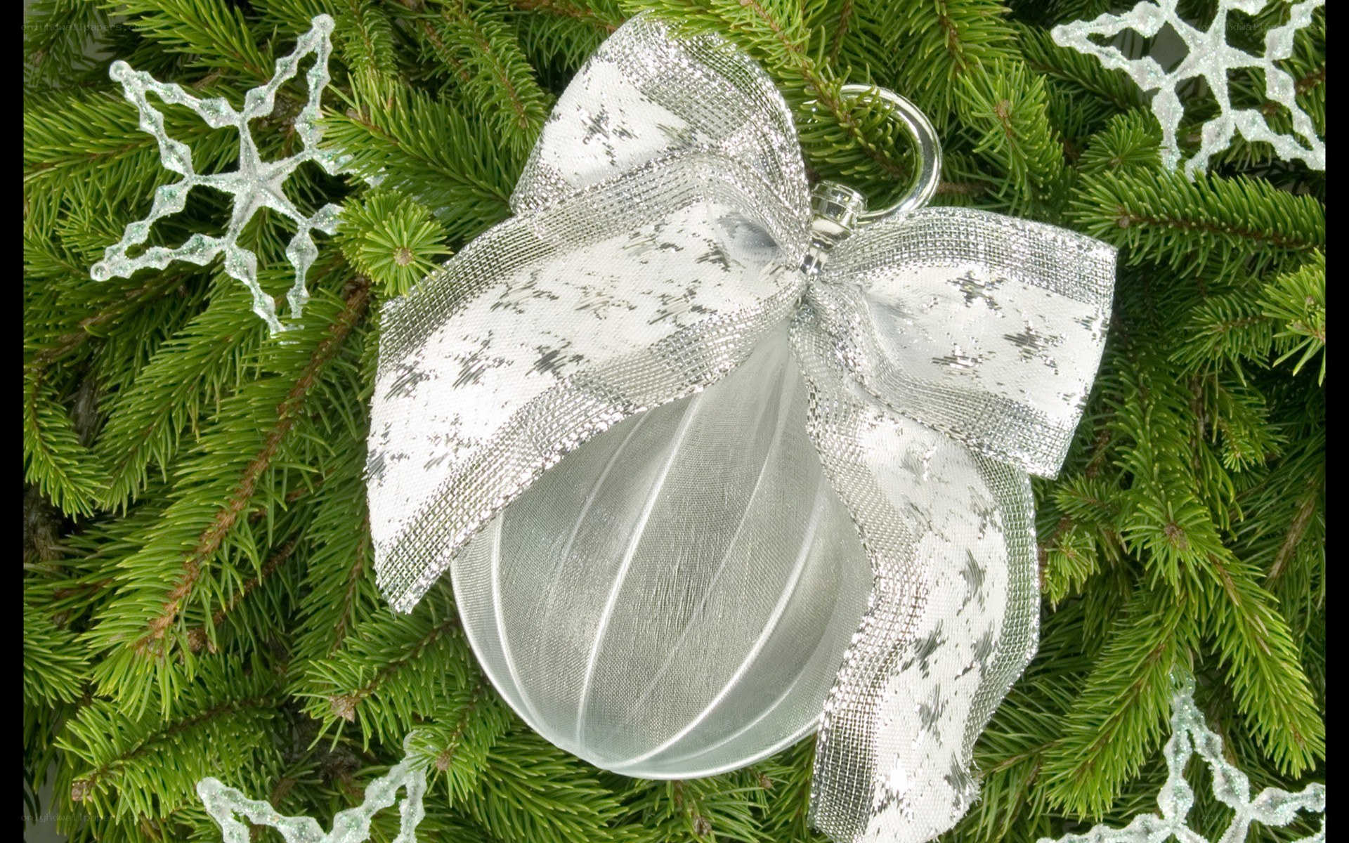 silver ornament on pine branches