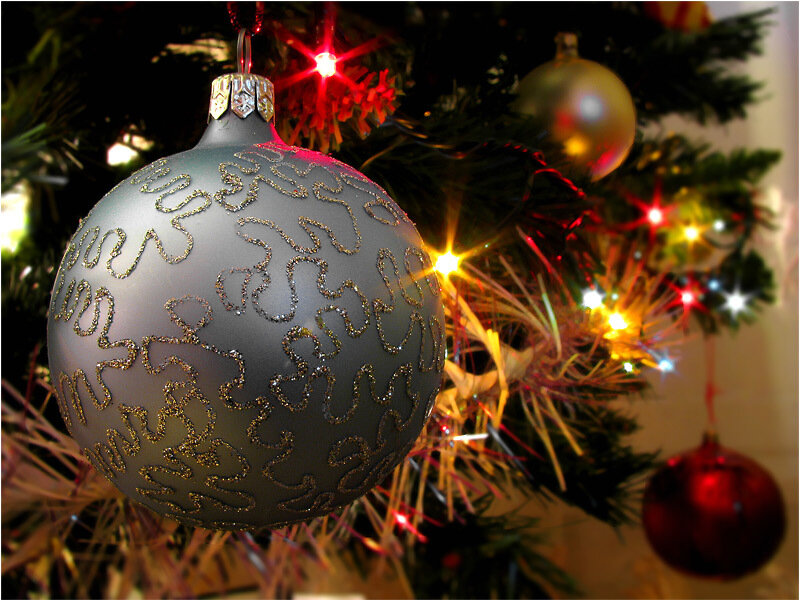 Silver Ornament on Tree