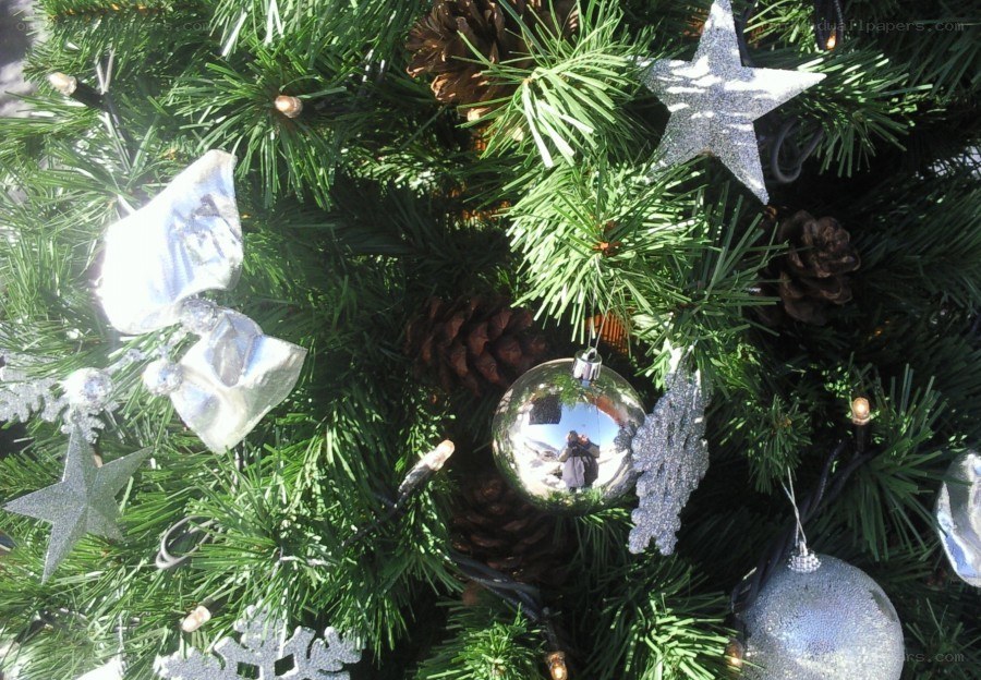 Silver ornaments on a Christmas tree