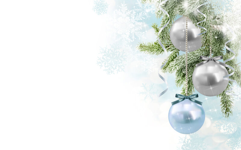 Silver Ornaments on Branch