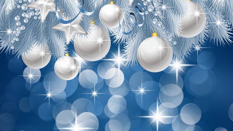Silver Ornaments on Branches — Blue