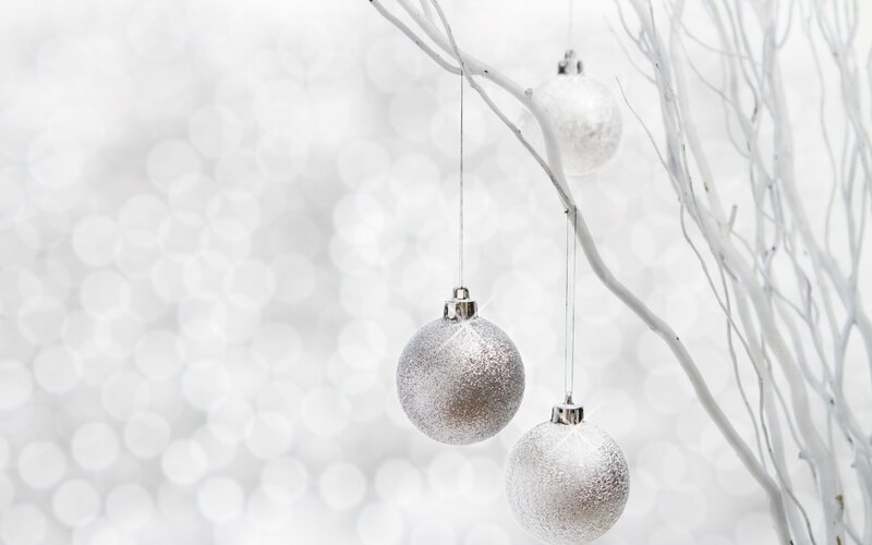 Silver Ornaments on Branches — White