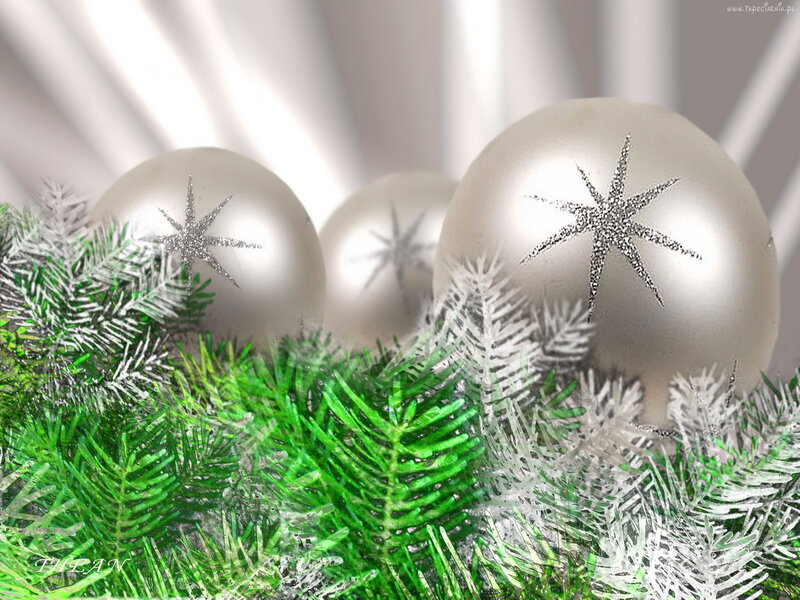 Silver Ornaments on Pine Branches — Green