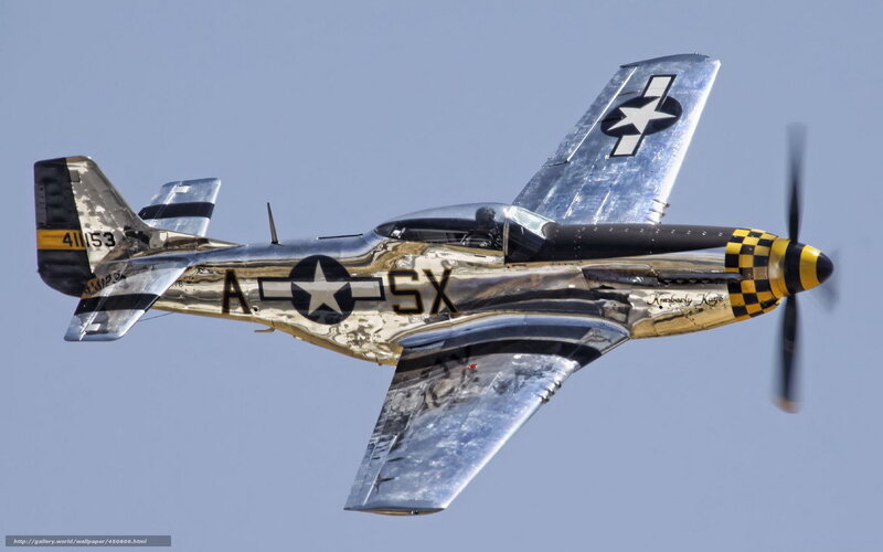 Silver P-51 Mustang Plane — Dynamic