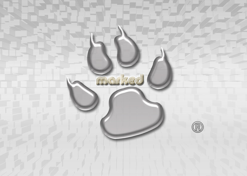 silver paw print logo