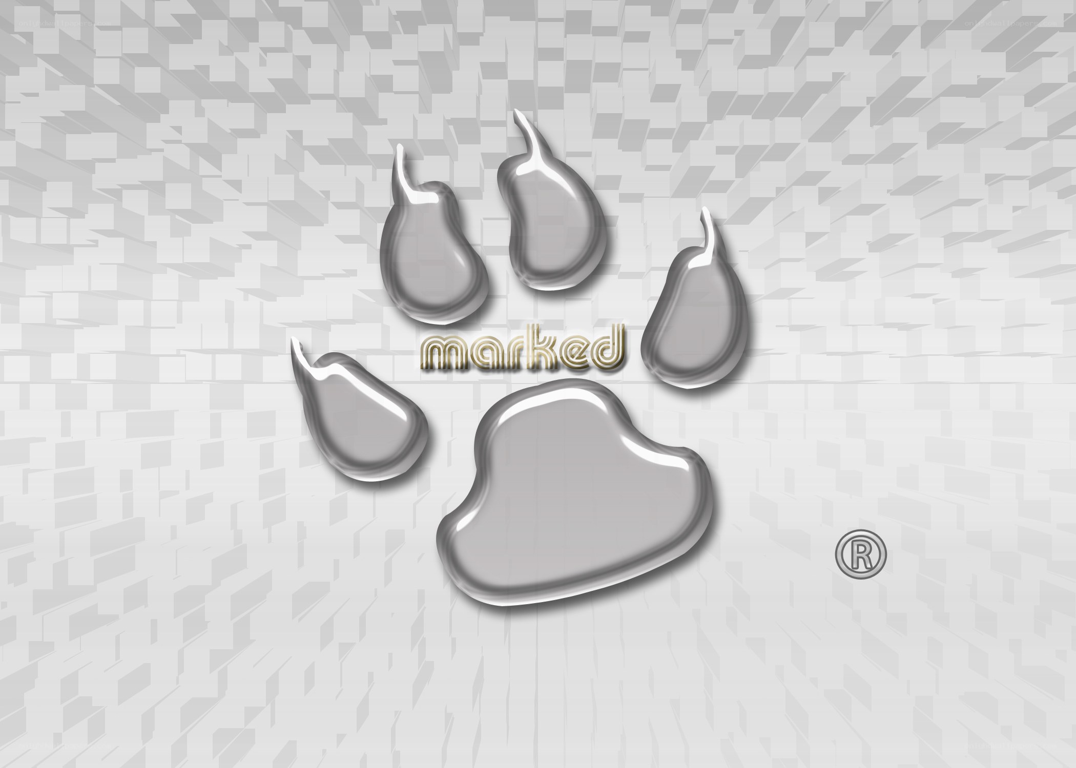 silver paw print logo