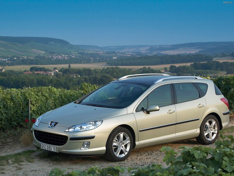 Silver Peugeot 407 Sw