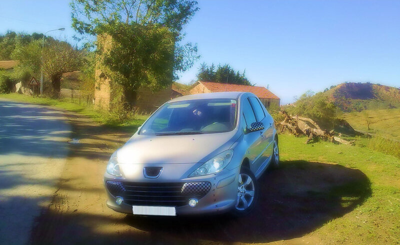 Silver Peugeot Car