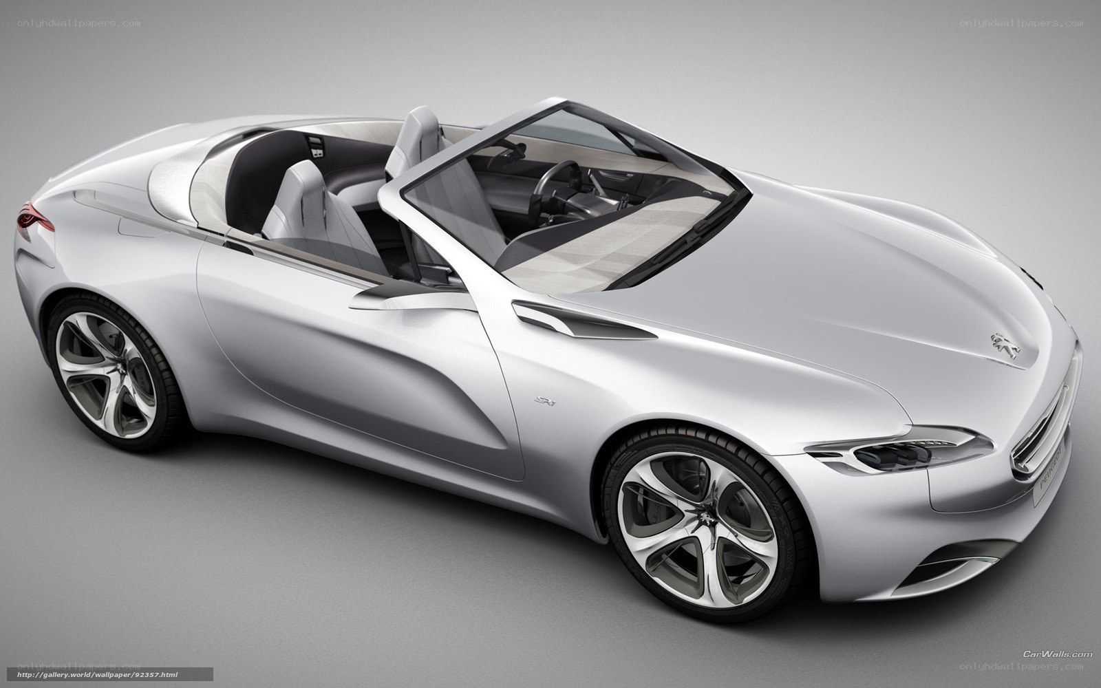 Silver Peugeot Concept Car