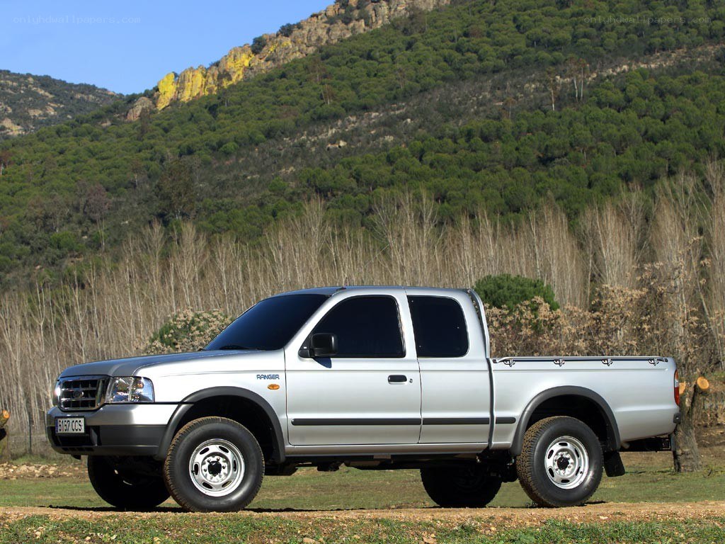 Silver pickup truck in nature