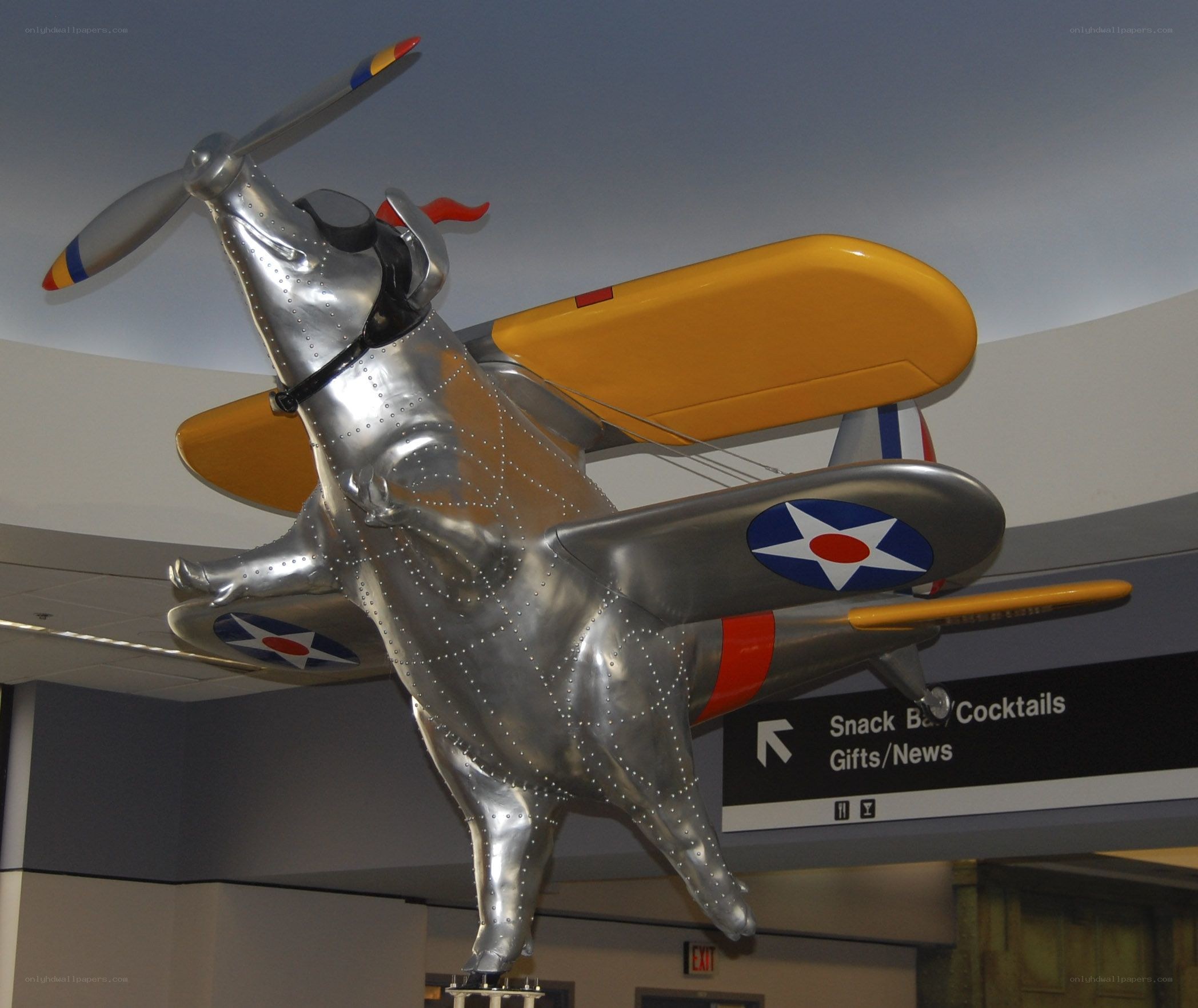 Silver pig airplane sculpture
