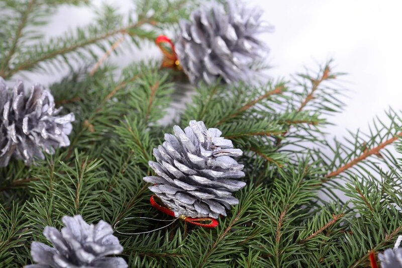 Silver Pine Cones on Branches